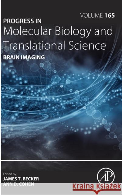 Brain Imaging: Volume 165 Teplow, David B. 9780128183618 Academic Press - książka