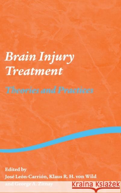 Brain Injury Treatment: Theories and Practices Leon-Carrion, Jose 9781841695723 Taylor & Francis - książka