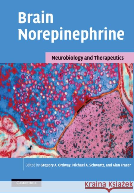 Brain Norepinephrine: Neurobiology and Therapeutics Ordway, Gregory A. 9781107407411 Cambridge University Press - książka