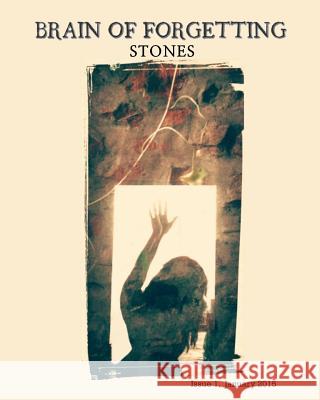 Brain of Forgetting: Stones Bernadette McCarthy Tom Jordan 9781506141305 Createspace - książka