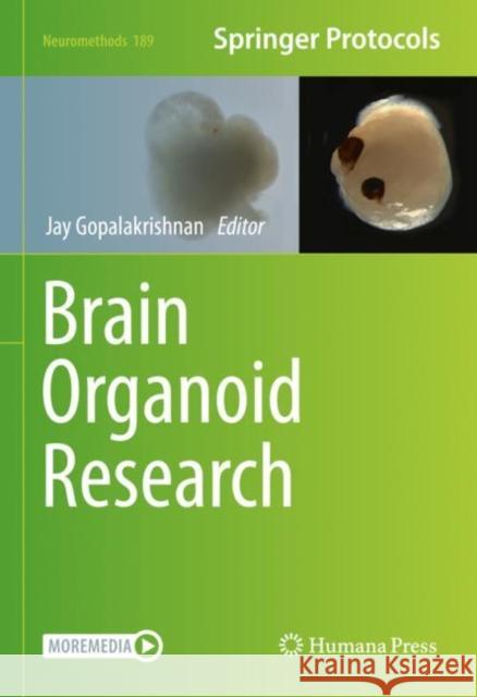 Brain Organoid Research  9781071627198 Springer US - książka