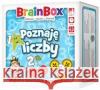BrainBox - Poznaję liczby REBEL  5902650616721 Rebel