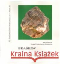 Braškov Ivana Fridrichová-Sýkorová 9788086912561 Krigl - książka