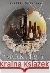 Brakujący fragment Izabella Nowaczyk 9788383627359 NieZwykłe - książka