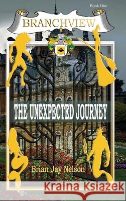 Branchview: The Unexpected Journey Brian Jay Nelson 9781648731389 Writer's Publishing House - książka