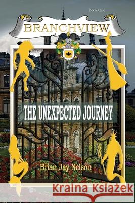 Branchview: The Unexpected Journey Brian Jay Nelson 9781648731525 Writer's Publishing House - książka