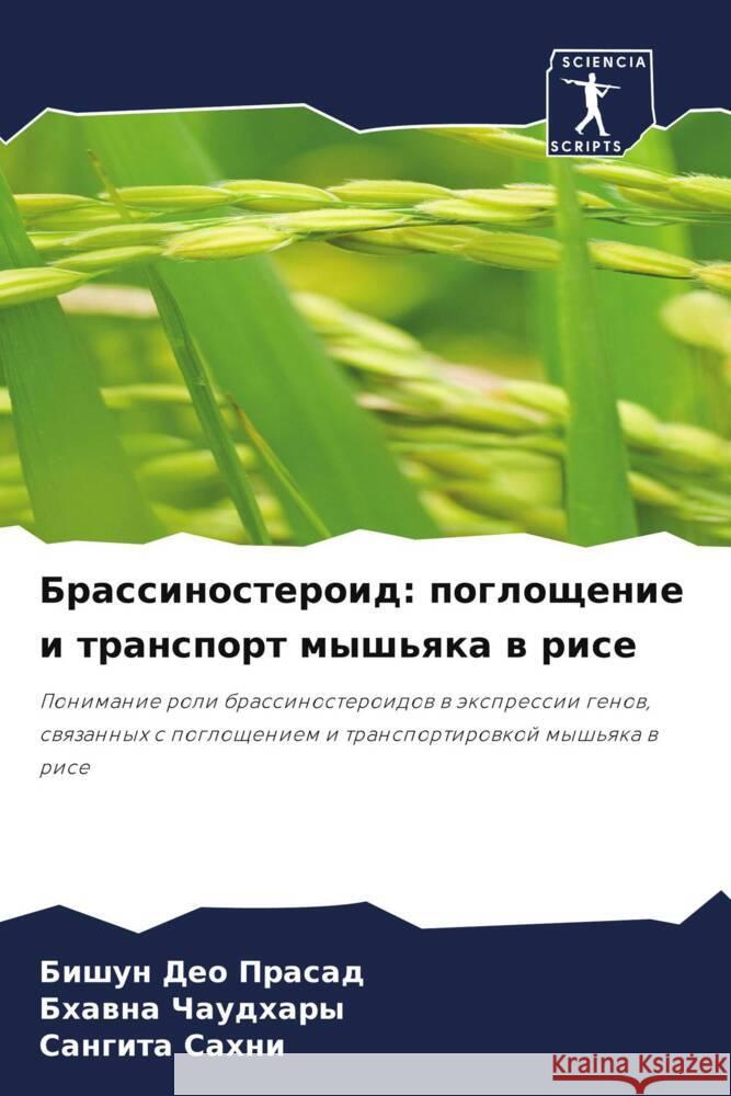 Brassinosteroid: pogloschenie i transport mysh'qka w rise Deo Prasad, Bishun, Chaudhary, Bhawna, Sahni, Sangita 9786208125462 Sciencia Scripts - książka