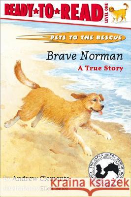 Brave Norman: A True Story (Ready-To-Read Level 1) Clements, Andrew 9780689834387 Aladdin Paperbacks - książka