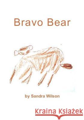 Bravo Bear Sandra Wilson 9781988215600 One Thousand Trees - książka