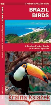 Brazil Birds: A Folding Pocket Guide to Familiar Species James Kavanagh 9781583559895 Waterford Press - książka