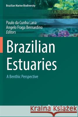 Brazilian Estuaries: A Benthic Perspective Lana, Paulo Da Cunha 9783030085377 Springer - książka