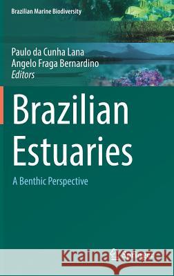 Brazilian Estuaries: A Benthic Perspective Lana, Paulo Da Cunha 9783319777788 Springer - książka