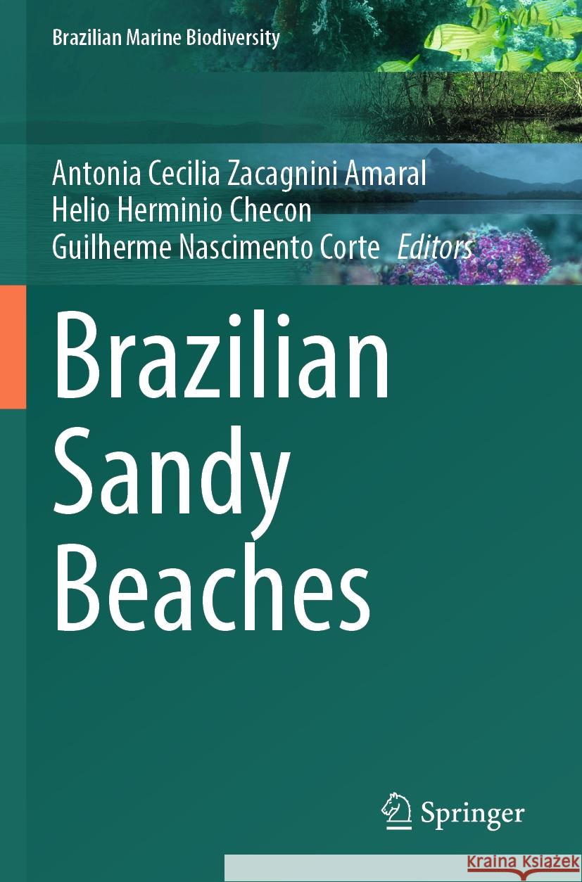 Brazilian Sandy Beaches  9783031307485 Springer International Publishing - książka