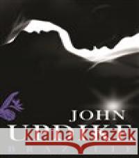 Brazílie John Updike 9788088445074 Zeď - książka