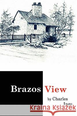 Brazos View Charles Inge 9780982440513 Ink Brush Press - książka