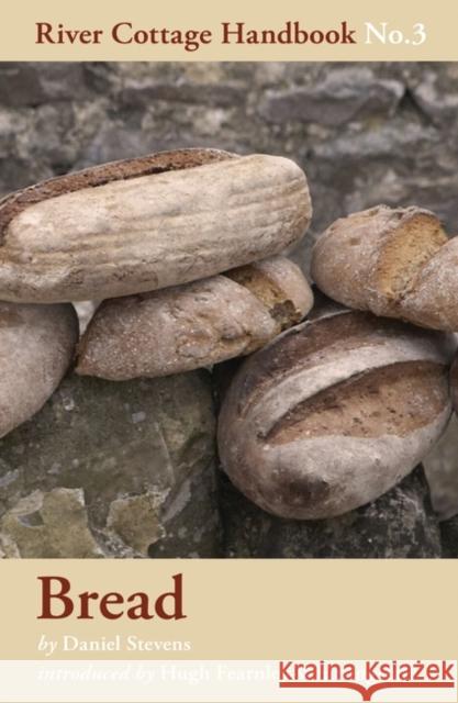 Bread Daniel Stevens 9780747595335 Bloomsbury Publishing PLC - książka