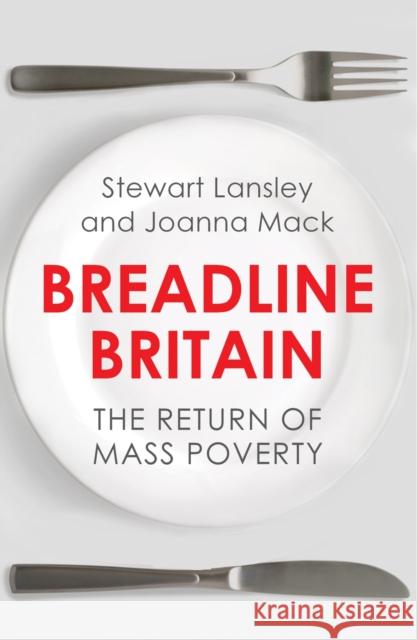 Breadline Britain: The Rise of Mass Poverty Stewart Lansley 9781780745442 Oneworld Publications - książka