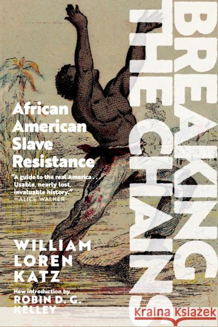 Breaking the Chains: African-American Slave Resistance William Loren Katz 9781644212653 Triangle Square - książka