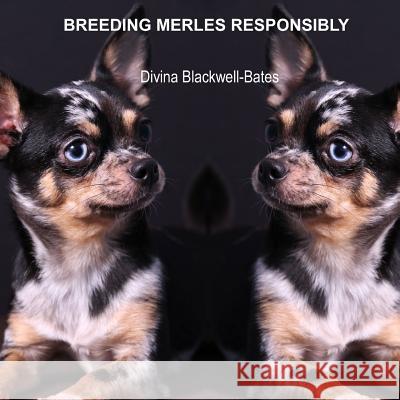 Breeding Merles Responsibly Divina Blackwell-Bates 9781326458096 Lulu.com - książka