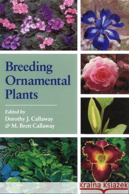 Breeding Ornamental Plants Dorothy J. Callaway M. Brett Callaway 9781604690941 Timber Press (OR) - książka