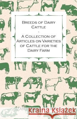 Breeds of Dairy Cattle - A Collection of Articles on Varieties of Cattle for the Dairy Farm Various 9781446536018 Maine Press - książka
