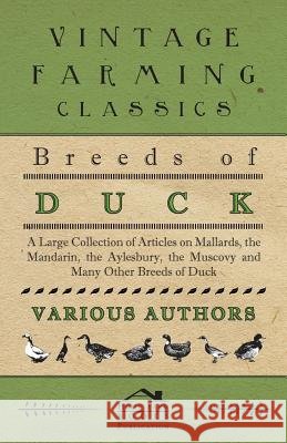 Breeds of Duck - A Large Collection of Articles on Mallards, the Mandarin, the Aylesbury, the Muscovy and Many Other Breeds of Duck Various 9781446536520 Mitchell Press - książka