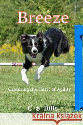 Breeze C. S. Bills 9781537608655 Createspace Independent Publishing Platform - książka