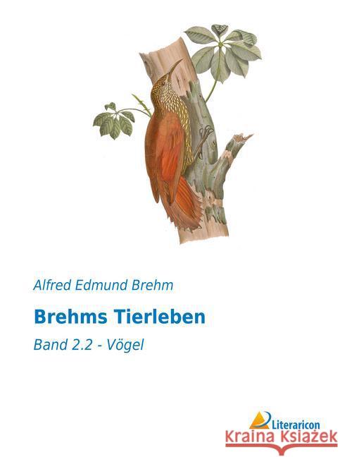 Brehms Tierleben : Band 2.2 - Vögel Brehm, Alfred Edmund 9783956979354 Literaricon - książka