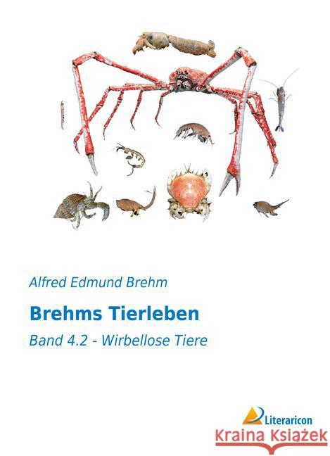Brehms Tierleben : Band 4.2 - Wirbellose Tiere Brehm, Alfred Edmund 9783956979408 Literaricon - książka