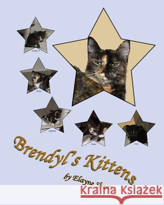 Brendyl's Kittens Catharina Ingelman-Sundberg Elayne Shore 9781492365556 HarperCollins - książka