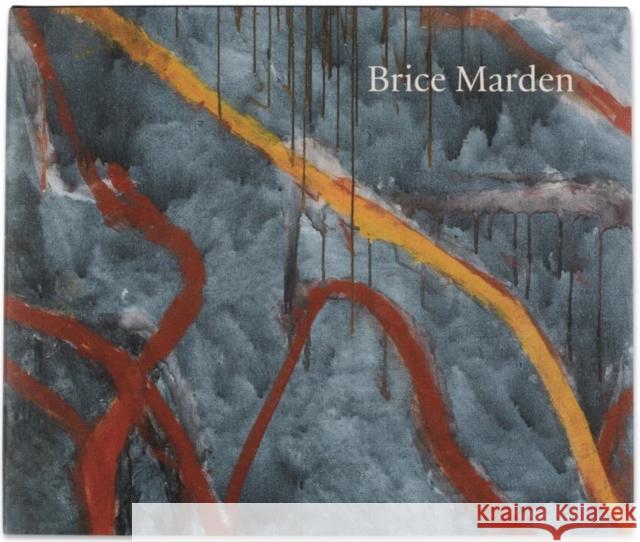 Brice Marden: Let the Painting Make You Paul Galvez 9780847834624 Rizzoli International Publications - książka