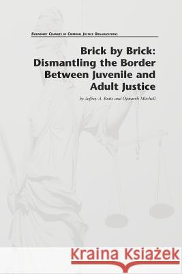 Brick by Brick: Dismantling the Border Between Juvenile and Adult Justice Jeffrey a. Butts Ojmarrh Mitchell 9781478262626 Createspace - książka