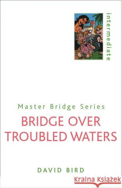 Bridge Over Troubled Waters David Lyster Bird 9780304361151 ORION PUBLISHING CO - książka