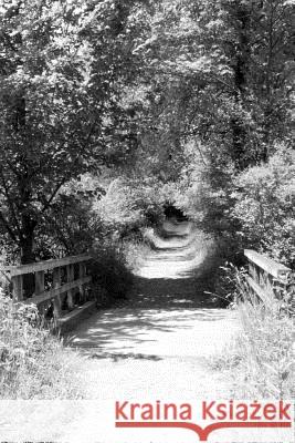 bridges M. Montalbano 9780359781614 Lulu.com - książka