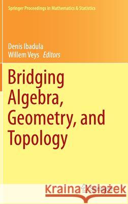 Bridging Algebra, Geometry, and Topology Denis Ibadula Willem Veys 9783319091853 Springer - książka