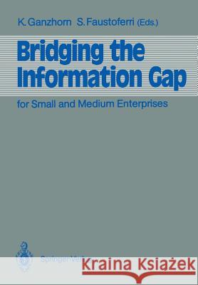 Bridging the Information Gap: For Small and Medium Enterprises Ganzhorn, Karl 9783540527060 Springer - książka