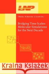 Bridging the Time Scales: Molecular Simulations for the Next Decade Nielaba, Peter 9783642079290 Not Avail - książka
