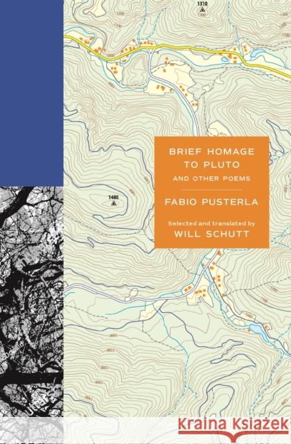 Brief Homage to Pluto and Other Poems Fabio Pusterla 9780691245102 Princeton University Press - książka