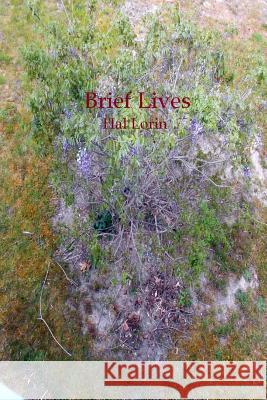 Brief Lives Hal Lorin 9781536924886 Createspace Independent Publishing Platform - książka