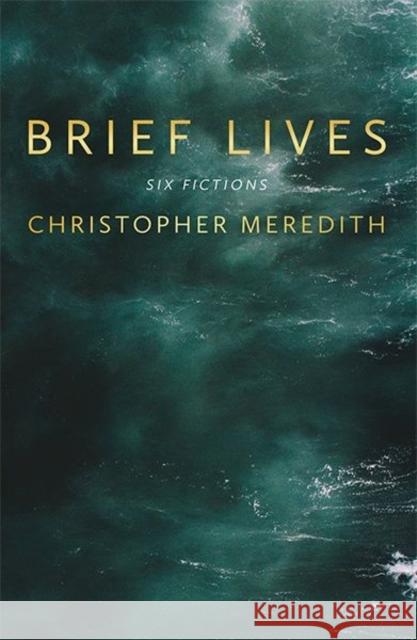 Brief Lives Christopher Meredith 9781781724521 Poetry Wales Press - książka