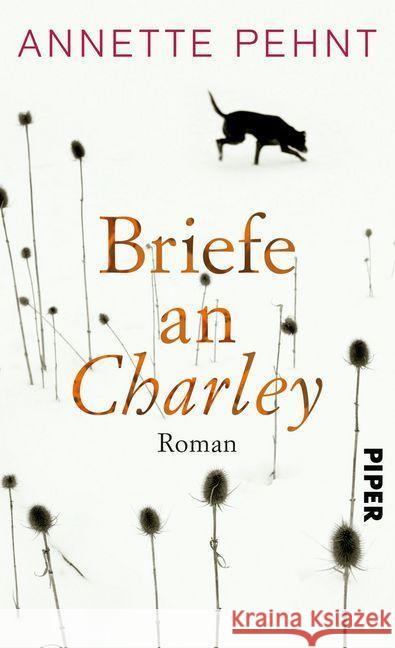 Briefe an Charley : Ein Roman Pehnt, Annette 9783492057288 Piper - książka