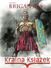 Brigantus T.2 Pikt Yves Huppen 9788397267145 Elemental - książka