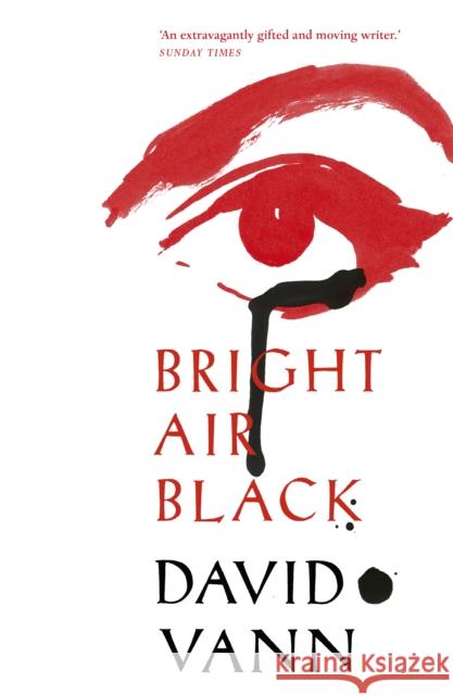 Bright Air Black Vann, David 9780099592266 Windmill Books - książka