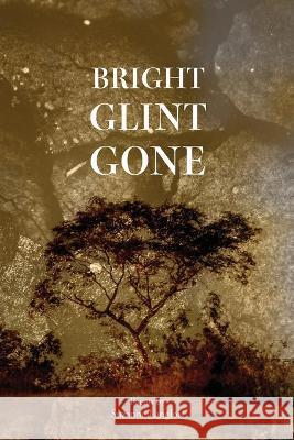 Bright Glint Gone Suzanne Langlois 9781735673202 Maine Writers & Publishers Alliance - książka