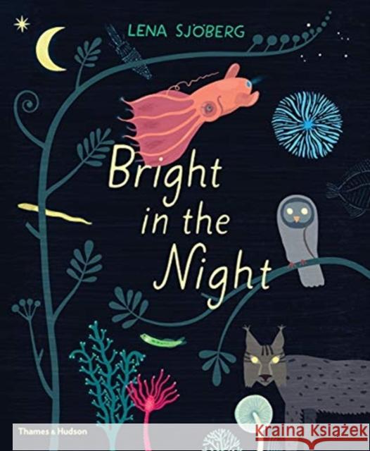 Bright in the Night Lena Sjoberg 9780500652190 Thames & Hudson Ltd - książka