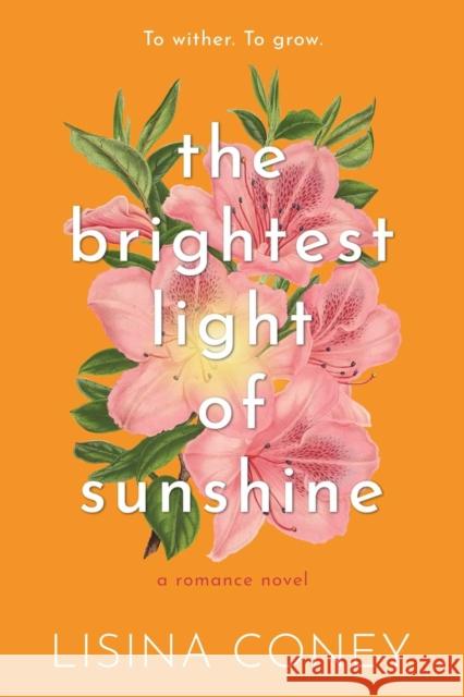 Brightest Light of Sunshine Lisina Coney 9798987758342 Meredith Wild LLC - książka