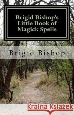 Brigid Bishop's Little Book of Magick Spells: 21st Century Magick Brigid Bishop 9781466436008 Createspace Independent Publishing Platform - książka