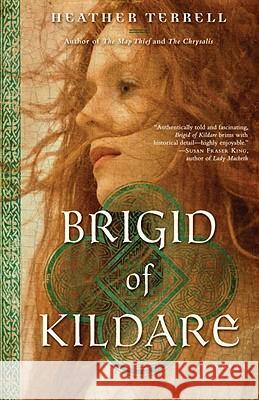 Brigid of Kildare Heather Terrell 9780345505125 Ballantine Books - książka