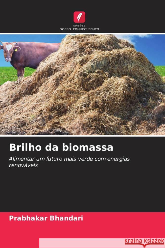 Brilho da biomassa Prabhakar Bhandari 9786207412051 Edicoes Nosso Conhecimento - książka