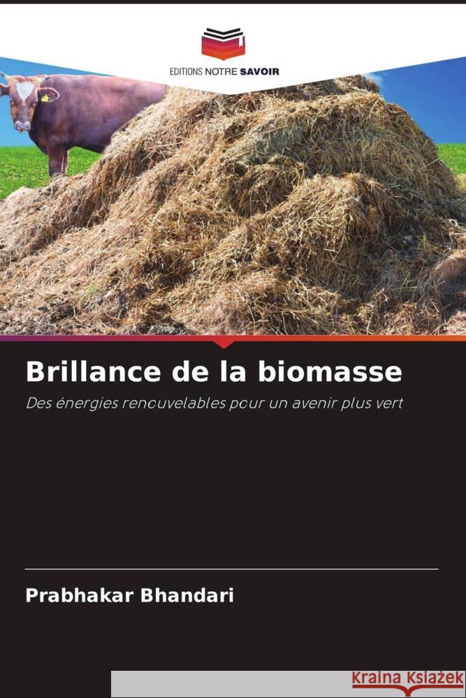 Brillance de la biomasse Prabhakar Bhandari 9786207412037 Editions Notre Savoir - książka
